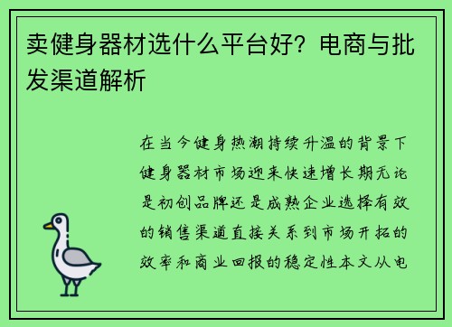 卖健身器材选什么平台好？电商与批发渠道解析